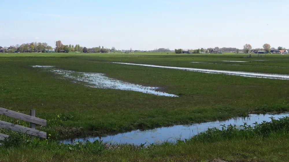 Het Rotterdams platteland: polder Schieveen bij Overschie